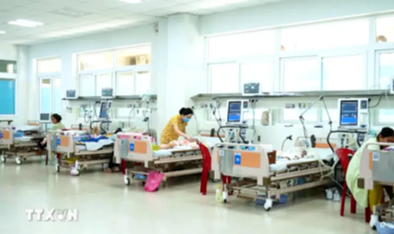 Nhiều yếu tố khiến sốt xuất huyết xuất hiện sớm, kéo dài và khó kiểm soát hơn