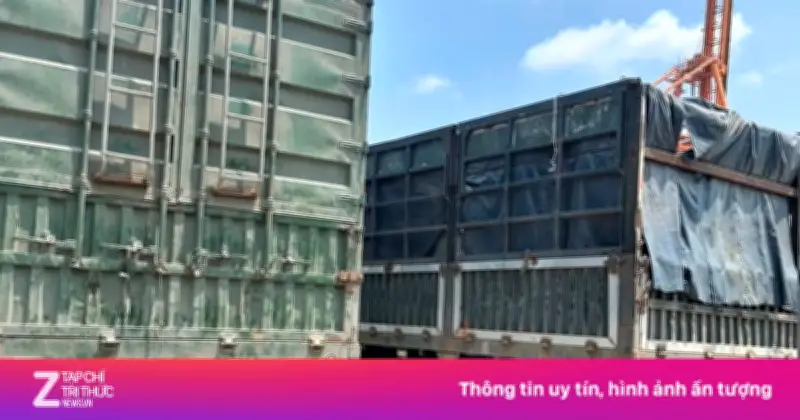 Nhóm tài xế TP.HCM chiếm đoạt 500 tấn hạt điều bằng thủ đoạn 'độn cân' tinh vi
