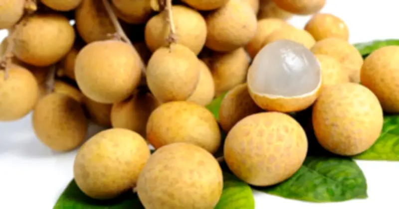 Nhãn Việt 'lột xác' thành đặc sản xa xỉ ở châu Âu, giá cao gấp 20 lần trong nước