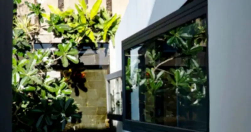 Những Dấu Hiệu Phong Thủy Tốt Cho Ngôi Nhà: Từ Cây Xanh Đến Gia Đình Hòa Thuận