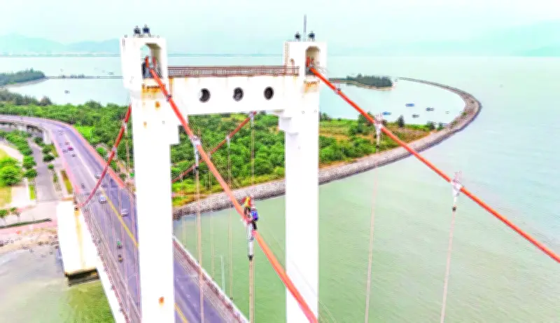 Những 'Người Nhện' Thầm Lặng Chăm Sóc Các Cây Cầu Biểu Tượng Ở Đà Nẵng