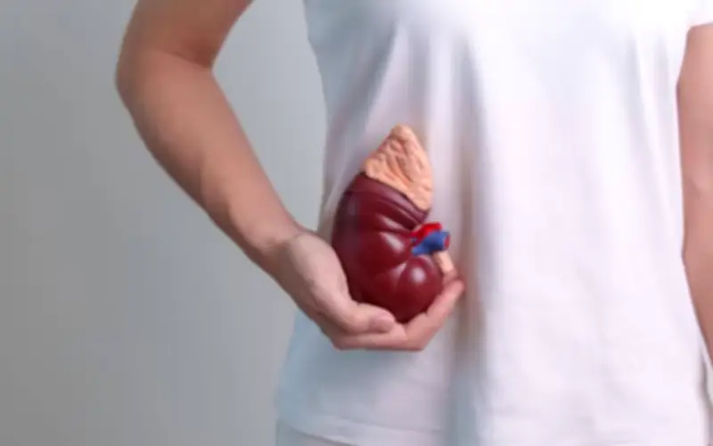 Những thói quen sinh hoạt tưởng vô hại nhưng âm thầm hủy hoại thận của bạn