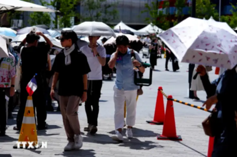 Nhật Bản ghi nhận nhiệt độ tăng bất thường tại nhiều khu vực