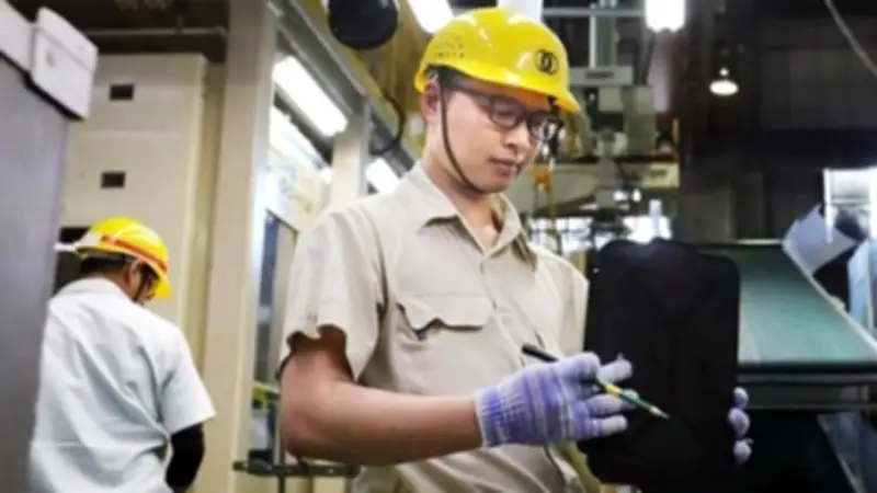 Nhật Bản Mở Rộng Cơ Hội Việc Làm Cho Lao Động Việt Nam Với Chương Trình Mới