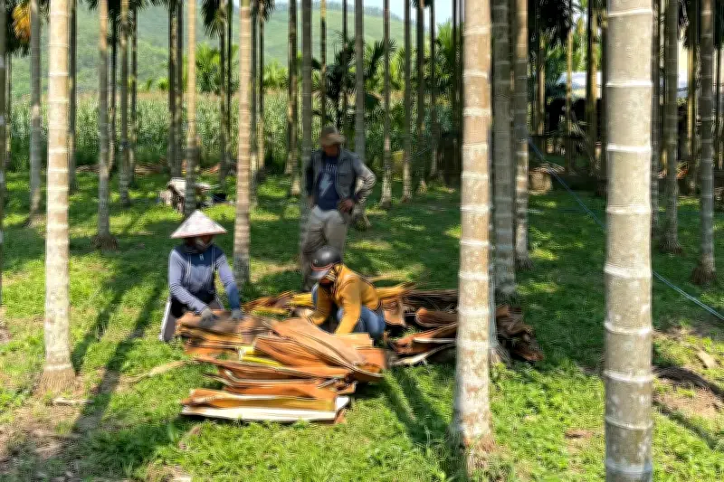 Nhật mở cửa bán kiểm, người dân Việt kiếm hàng trăm nghìn đồng mỗi ngày