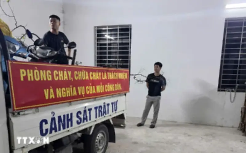 Ninh Bình bắt giữ vụ khai thác, vận chuyển cây muồi hồng trái phép