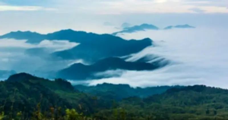 Ninh Bình: Đô thị di sản xanh đạt doanh thu du lịch vượt 10.000 tỷ đồng quý I/2026