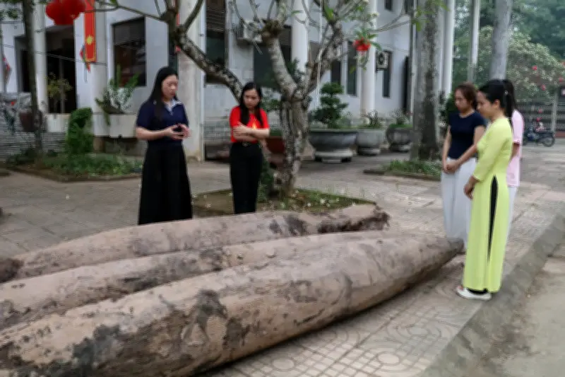 Ninh Bình Xác Định Niên Đại 3 Cọc Gỗ Cổ Phát Hiện Tại Hoa Lư