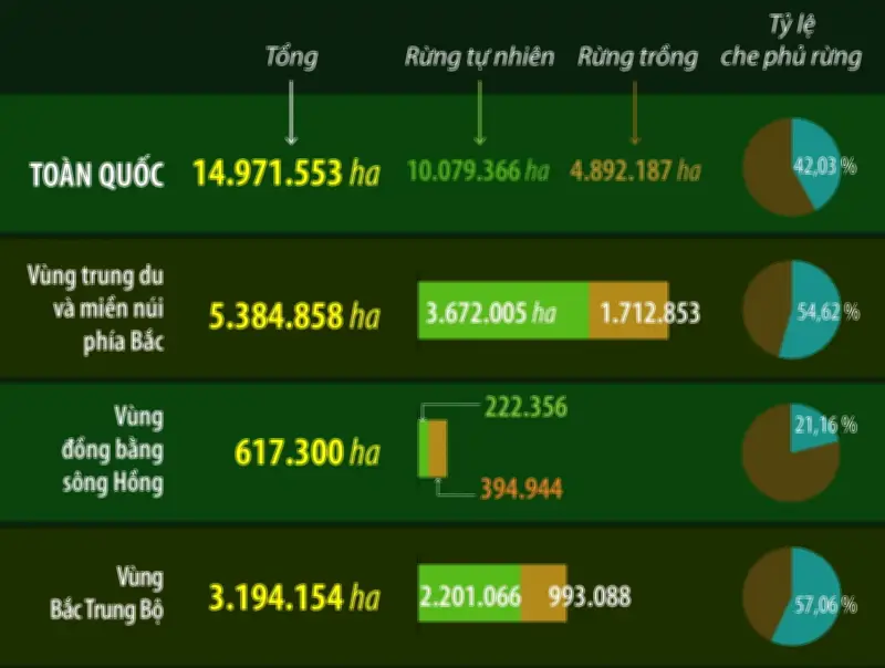 Năm 2025, diện tích rừng cả nước đạt hơn 14,97 triệu hecta
