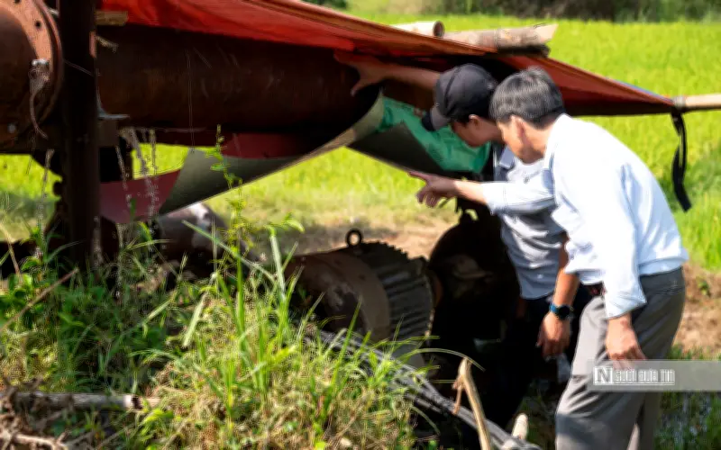 Nông dân Đắk Lắk lo lắng mất mùa lúa do nắng nóng kéo dài và thiếu nước