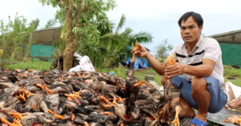 Nông dân Nghệ An chờ hỗ trợ sau bão: Hồ sơ chậm, nợ nần chất chồng
