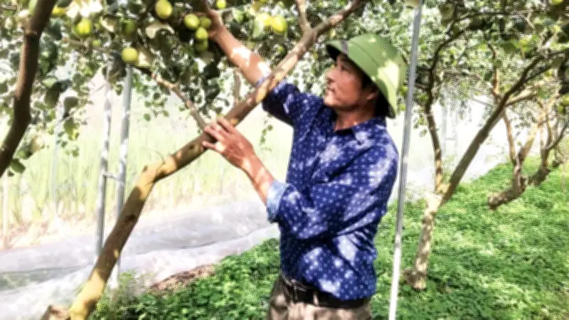 Nông nghiệp công nghệ cao: Chuyển đổi số trên đồng ruộng, tăng thu nhập vượt bậc