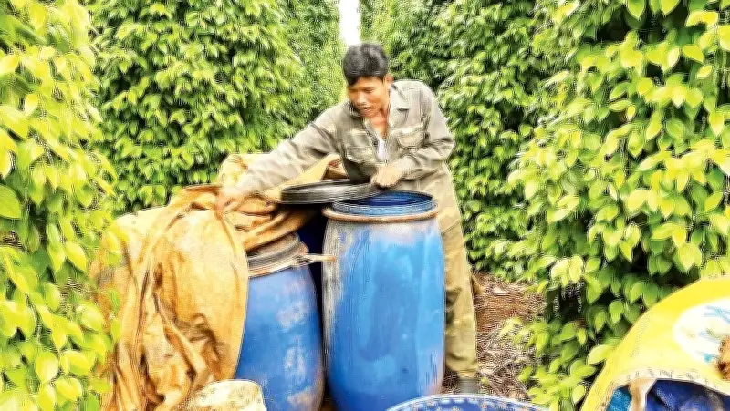 Nông nghiệp Lâm Đồng đối mặt thách thức kép: Giá vật tư tăng và thời tiết cực đoan