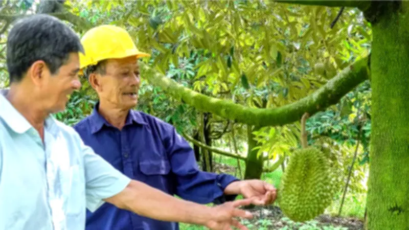 Nông nghiệp xanh: Xu thế tất yếu để nâng cao năng lực cạnh tranh và phát triển bền vững