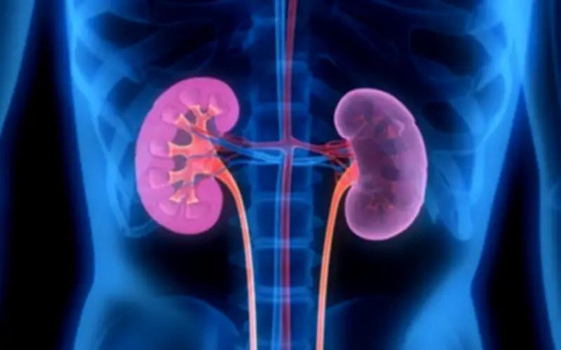 Nắng nóng gay gắt: 6 việc người Việt cần làm ngay để phòng ngừa suy thận và bệnh lý đường tiết niệu