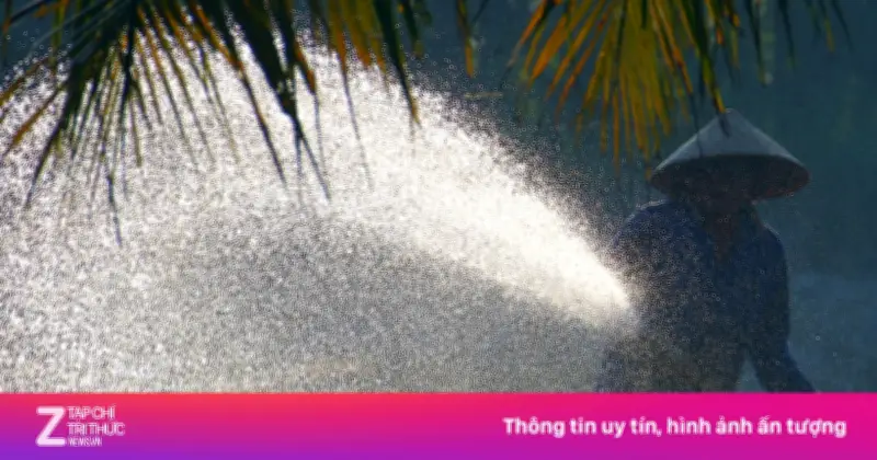 Nắng nóng gay gắt bao trùm TP.HCM và Nam Bộ, nhiệt độ có thể lên tới 39 độ C