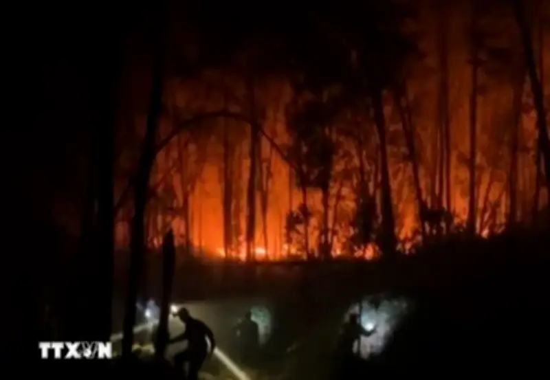 Nắng nóng gay gắt liên tiếp, cháy rừng bùng phát tại Nghệ An