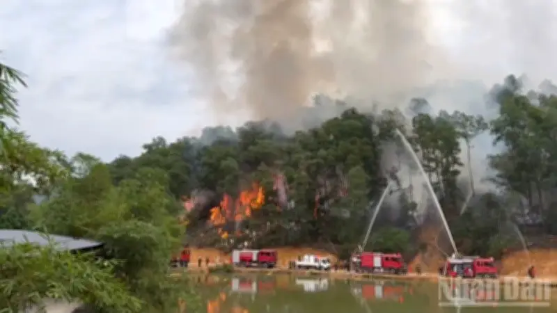 Nắng nóng gay gắt trên 40°C, cảnh báo nguy cơ cháy rừng rất cao trên diện rộng