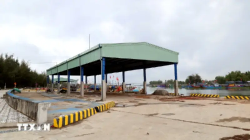 Đà Nẵng phản hồi thông tin Cảng cá Hồng Triều sắp có đơn vị quản lý