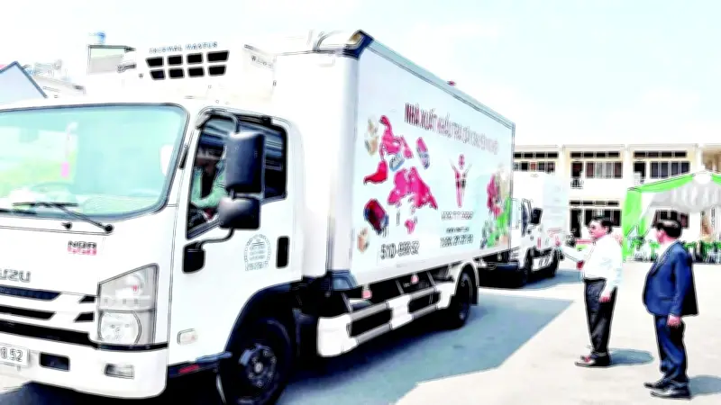 Nông sản Việt chinh phục thị trường khó tính: Thành công bước đầu và thách thức dài hạn