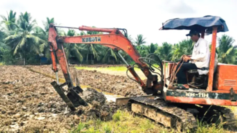 Áp lực sinh kế và làn sóng chuyển đổi đất lúa ở Đồng bằng sông Cửu Long