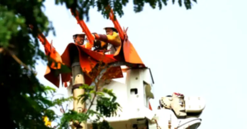 PC Đà Nẵng cảnh báo tiêu thụ điện tăng mạnh do nắng nóng, khuyến cáo tiết kiệm