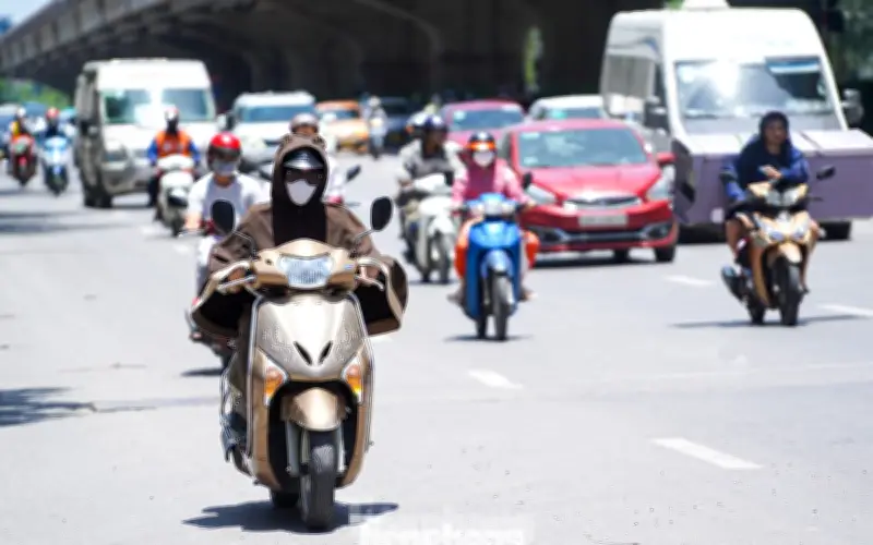 Phụ huynh cắt cơm bán trú sau vụ 300 tấn thịt lợn bệnh vào trường học