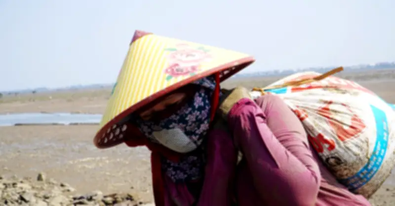 Phụ nữ Hà Tĩnh bám bãi bùn mò cua bắt ốc giữa nắng nóng gay gắt