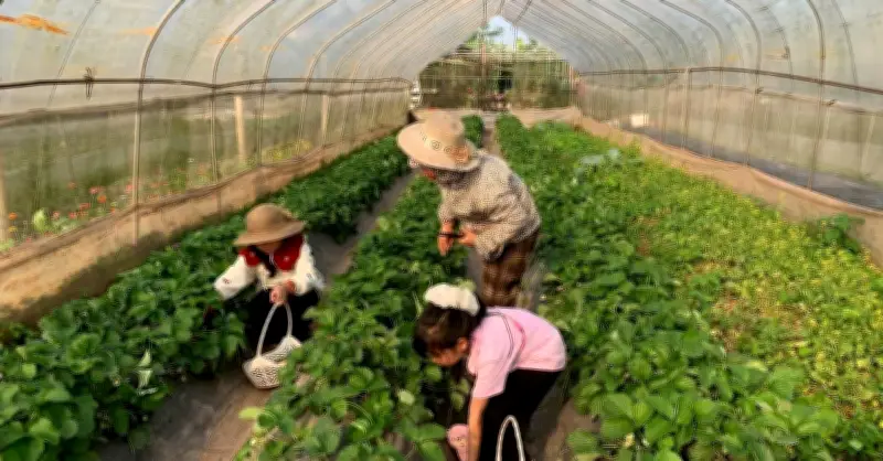 Phụ nữ Khổng Lào vươn lên nhờ tuyên truyền đi trước một bước