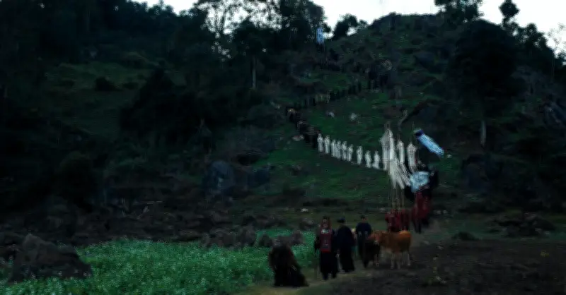 Phí Phông: Quỷ Máu Rừng Thiêng - Điện ảnh Việt đột phá với bối cảnh thực địa và nhịp kể chậm