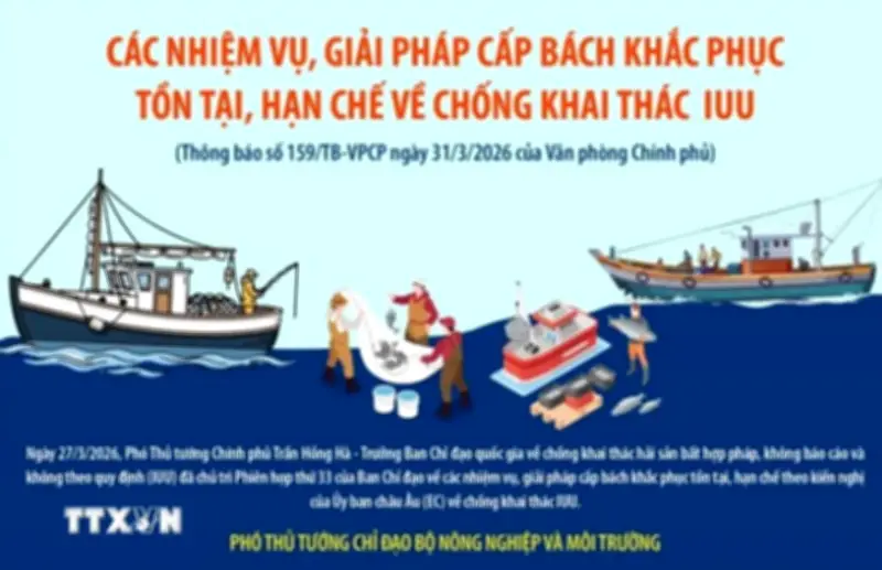 Phó Thủ tướng Trần Hồng Hà chỉ đạo khẩn cấp chống khai thác hải sản bất hợp pháp