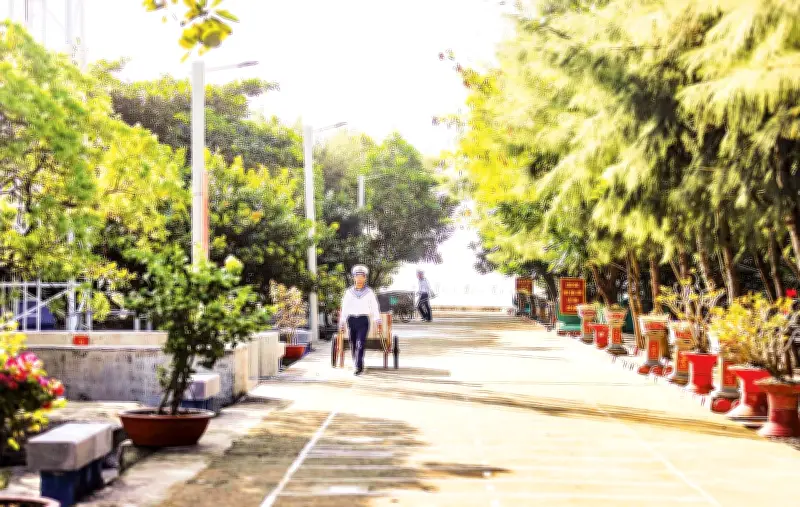 Phủ xanh Trường Sa: Hành trình mang cây ra đảo và khôi phục hệ sinh thái