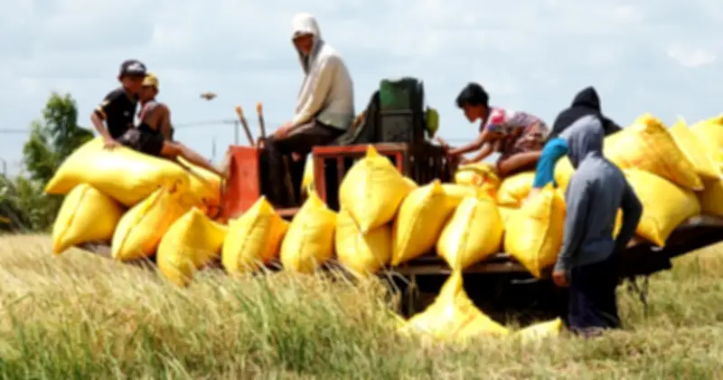 Philippines điều tra tự vệ gạo nhập khẩu, Việt Nam cần chuẩn bị ứng phó