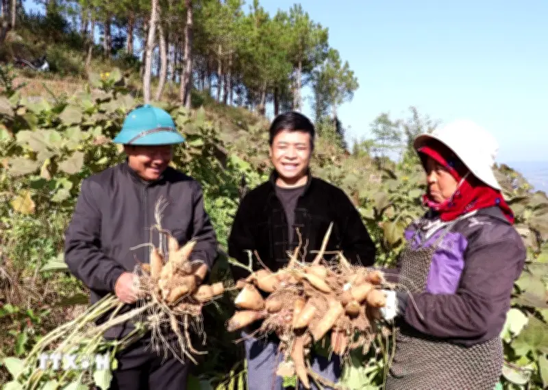 Phân bổ vốn ngân sách địa phương cho xây dựng nông thôn mới giai đoạn 2026-2030