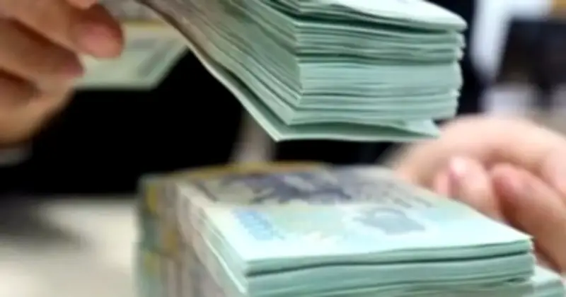 Phân Bón Bình Điền bị phạt hơn 600 triệu đồng, truy thu 3 tỷ đồng thuế