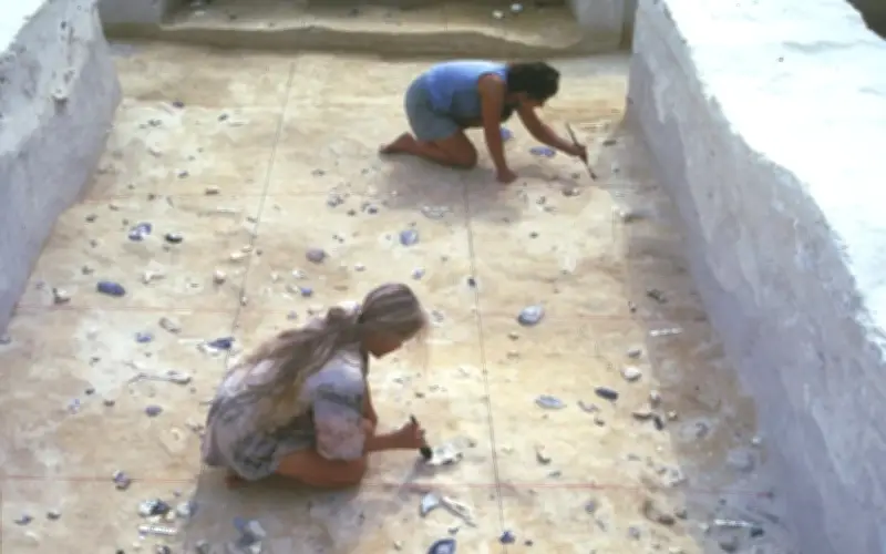 Phát Hiện Bảo Vật 500.000 Năm Tuổi Do Loài Người Khác Chế Tác