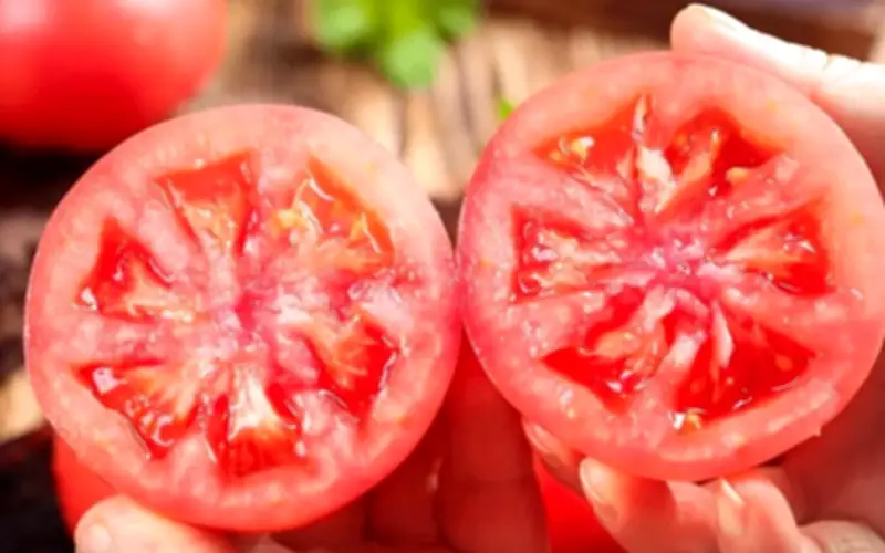 Phát hiện hợp chất 'trường sinh' trong cà chua, cà rốt: Chống lão hóa và Alzheimer hiệu quả