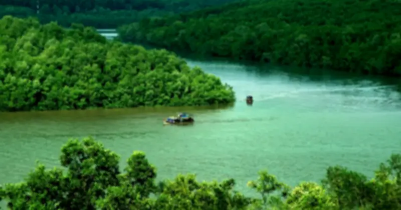 Phát hiện loài thạch sùng dẹp Ấn Độ – Thái Bình Dương lần đầu được xác nhận tại Việt Nam