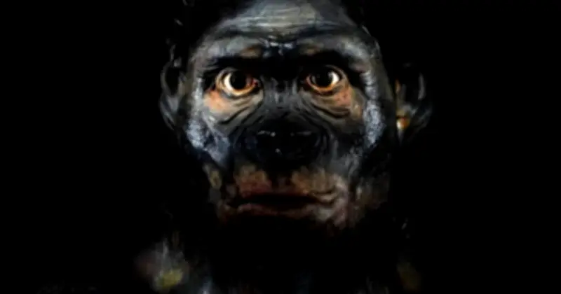 Phát Hiện Sốc: 20% DNA Con Người Hiện Đại Đến Từ Loài Hominin Siêu Cổ Xưa