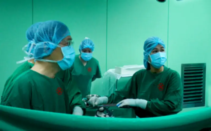 Phát hiện sỏi túi mật to như quả trứng gà khi khám sức khỏe định kỳ