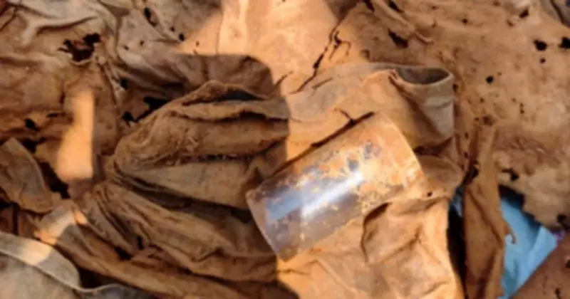 Phát hiện thêm hài cốt liệt sĩ tại khe núi Cha Lỳ, Quảng Trị