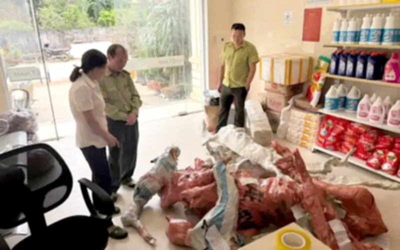 Phát Hiện Vụ Vận Chuyển Phôi Cây Muồng Hồng Trái Phép Qua Đường Bưu Điện