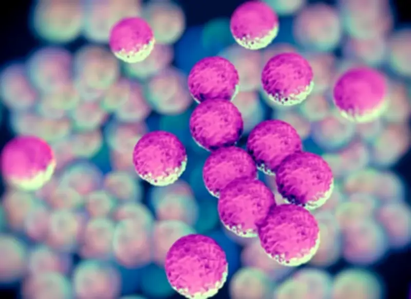 Phát hiện vi khuẩn đường ruột có khả năng bảo vệ cơ thể trước hội chứng COVID kéo dài