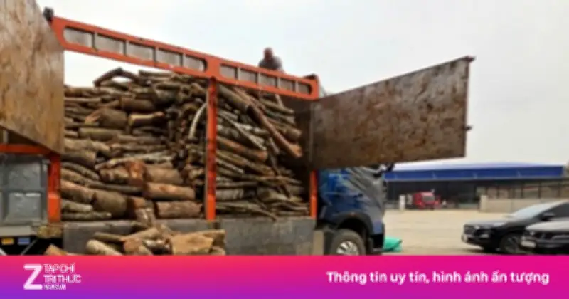 Phát hiện vận chuyển trái phép gỗ và hàng hóa qua biên giới Lạng Sơn, Cao Bằng