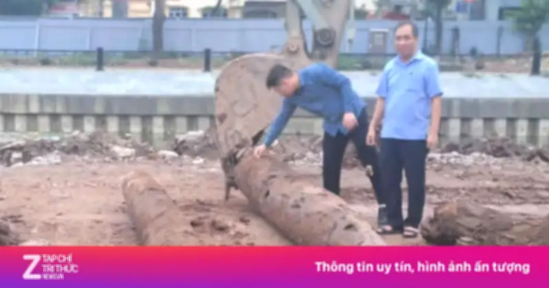 Phát Lộ Cọc Gỗ Nghi 'Trận Địa' Quân Sự Thời Trần Trên Sông Vân, Ninh Bình