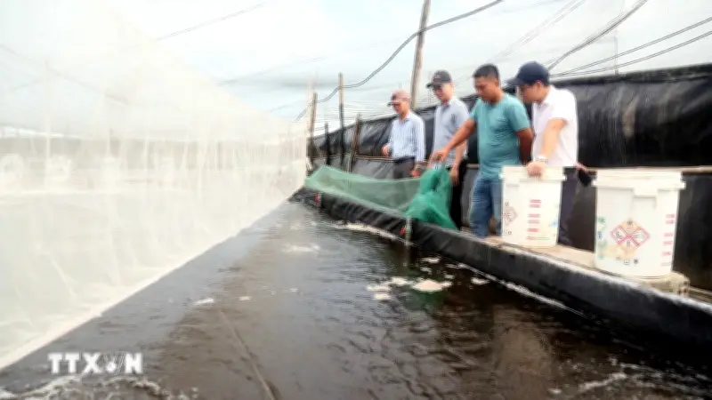 Phát triển nuôi trồng thủy sản hồ chứa: Kỳ vọng đạt 16.000 tỷ đồng mỗi năm