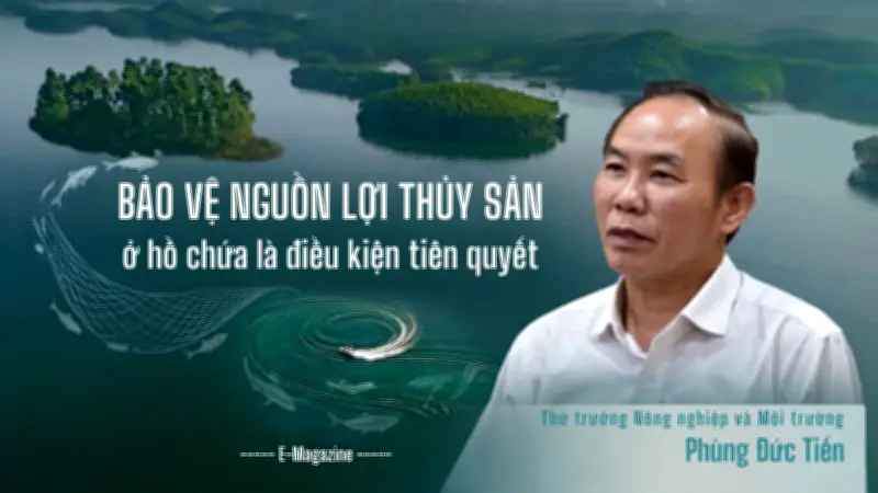 Phát triển nuôi trồng thủy sản hồ chứa: Mục tiêu 16 nghìn tỷ đồng và giải pháp bền vững