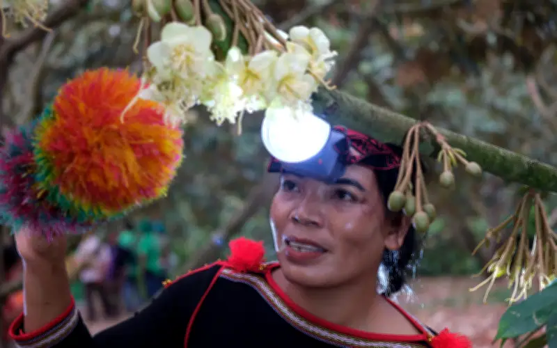 PVFCCo Phú Mỹ Đồng Hành Lễ Hội Sầu Riêng Đắk Lắk, Thúc Đẩy Sản Xuất Bền Vững