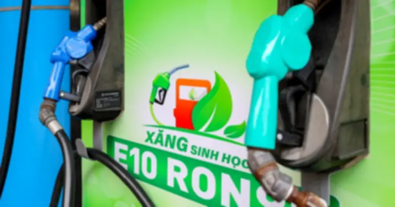 PVOIL và Petrolimex sẵn sàng triển khai xăng sinh học E10 trên toàn quốc
