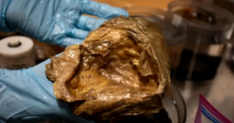 Quả cầu vàng bí ẩn dưới biển Alaska cuối cùng đã được giải mã